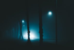 Best Aftermarket Fog Lights