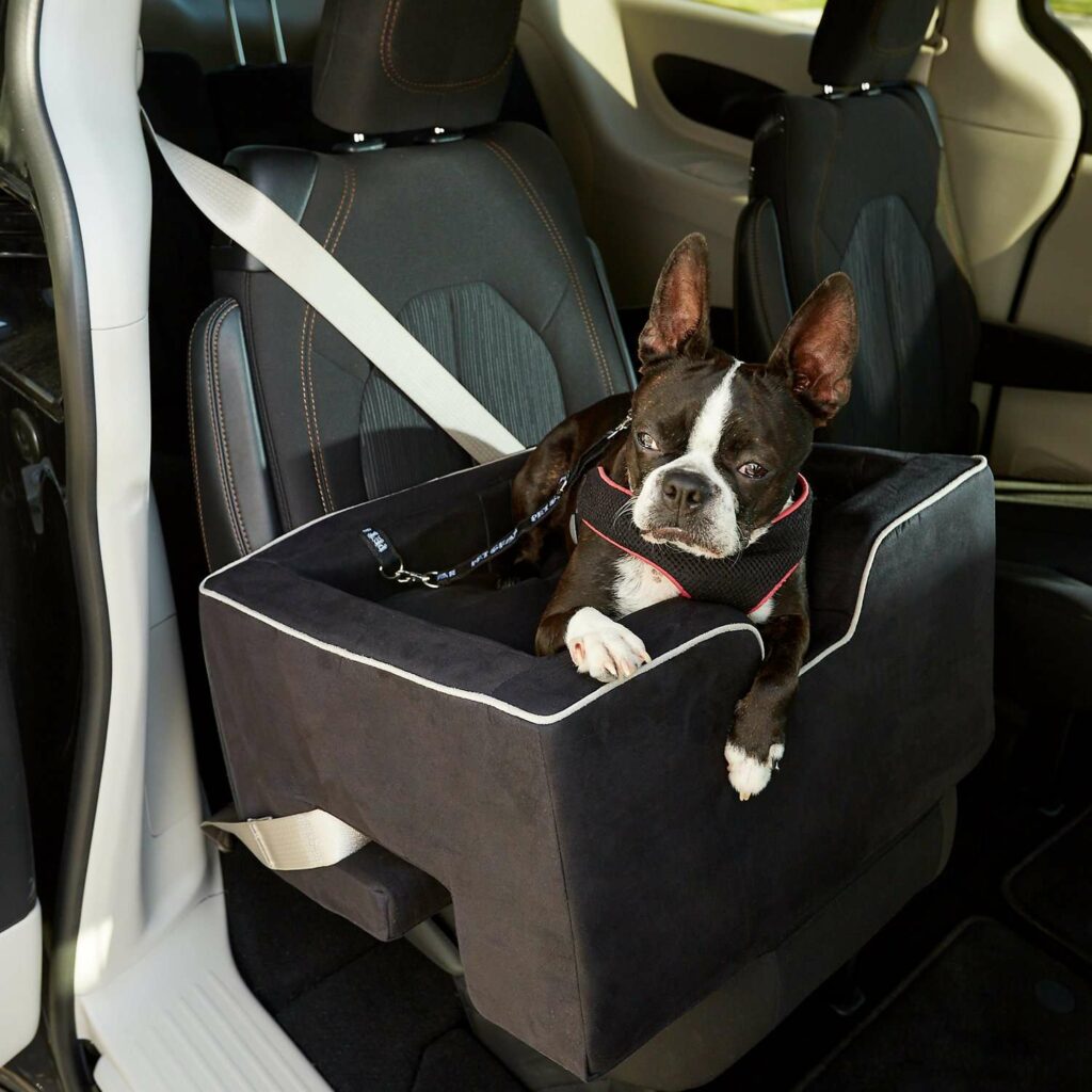 Best Dog Booster Seat